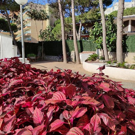 Paradis Salou, Centro Turistico, Wifi, Piscina, Vistas Al Mar Ngoại thất bức ảnh