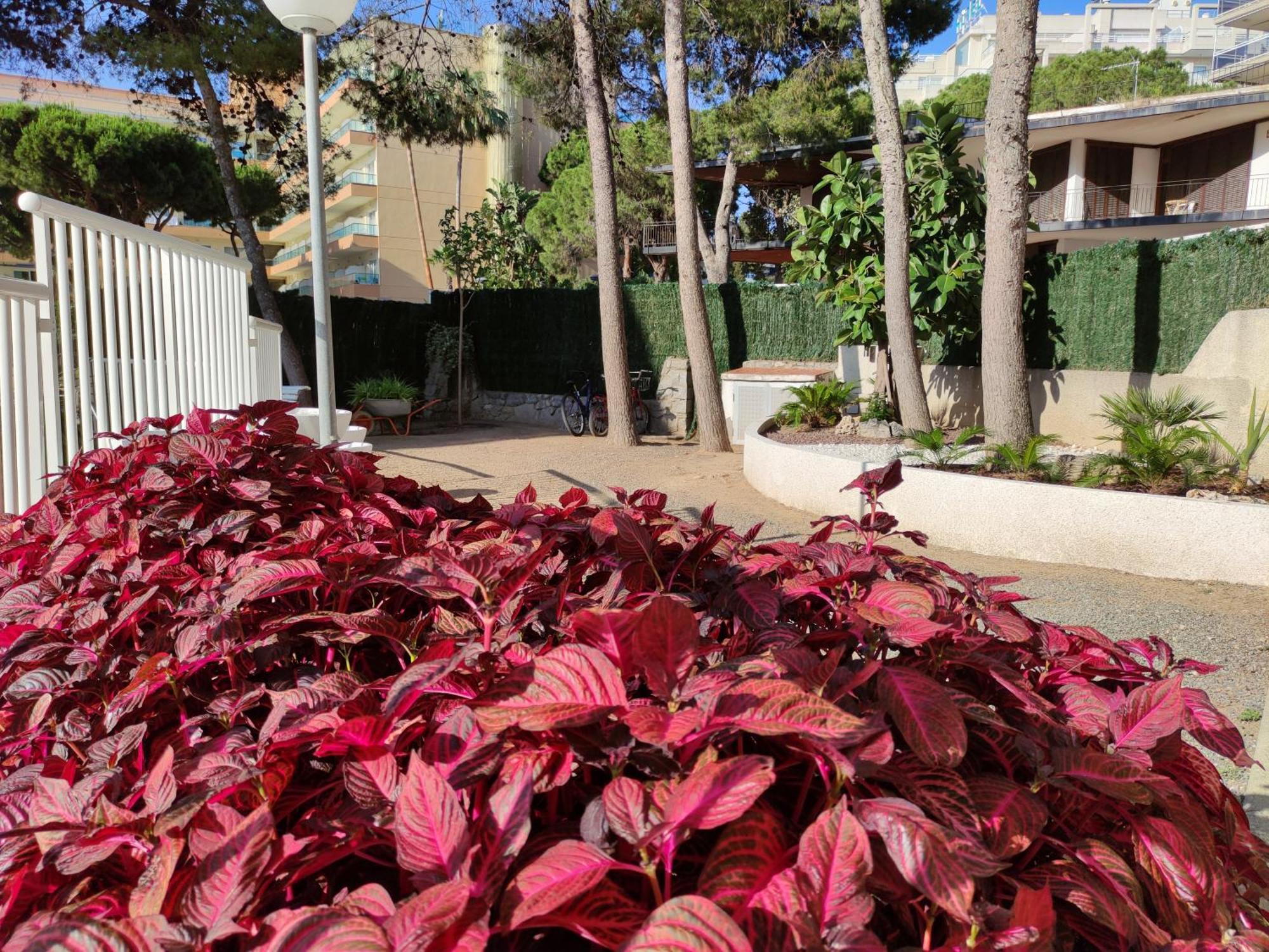 Paradis Salou, Centro Turistico, Wifi, Piscina, Vistas Al Mar Ngoại thất bức ảnh